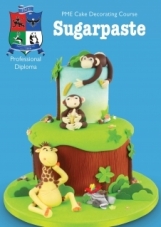 Cambridge and Ely for PME professional diploma for sugarpaste picture of workbook front cover